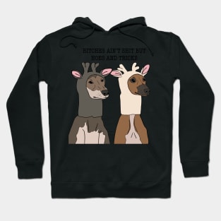 bitches ain’t shit Hoodie